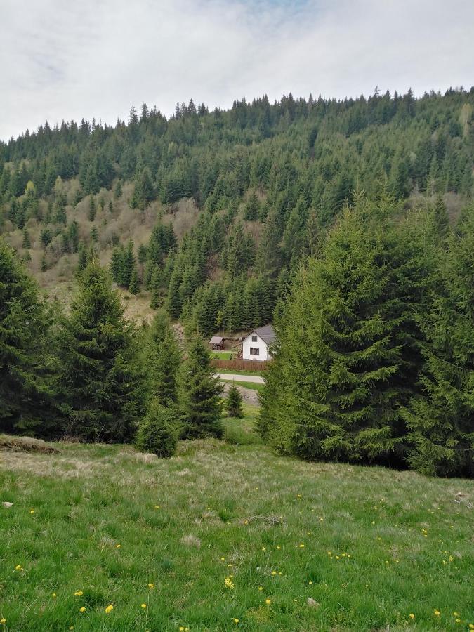 Villa Csillag Kulcsoshaz Gheorgheni  Exterior foto